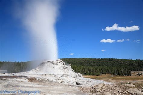 Castle Geyser Erupting Photo Wp35788