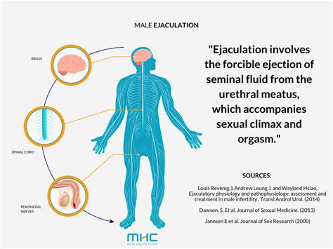 Pre Ejection What Is Premature Ejaculation Pe Signs