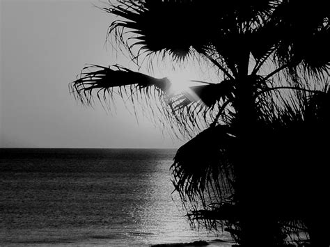 Black And White Beach Sunset Stock Photos Createblog