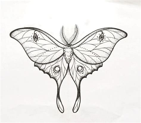 Luna Moth Luna Moth Tattoo Moth Tattoo Moth Tattoo Design