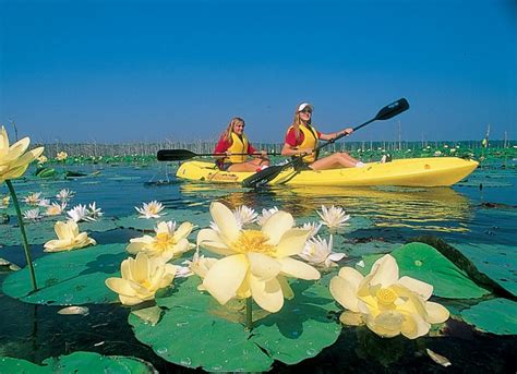 Canoeing And Kayaking Experience Mississippi River