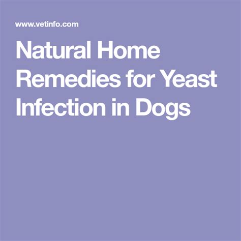 Natural Home Remedies For Yeast Infection In Dogs Yeast Infection