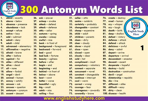 Liste De 300 Mots Antonymiques Tea Band