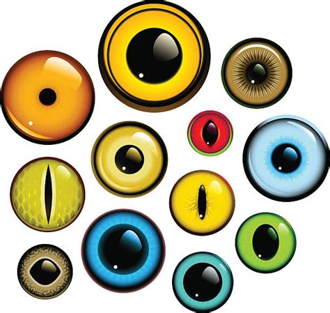 Animal Eye Illustrations Royalty Free Vector Graphics And Clip Art Istock