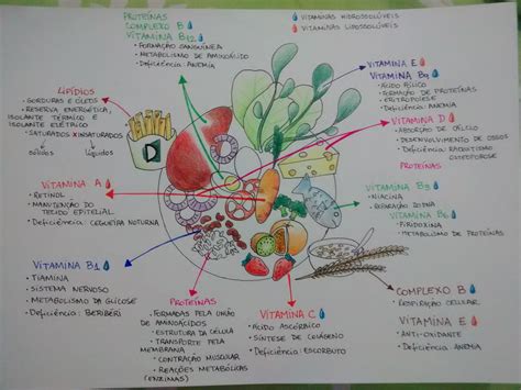 Mapa Mental Lipidios Proteinas E Vitaminas Mapa Mental Notas De