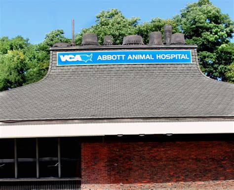 Our Hospital Vca Abbott Animal Hospital