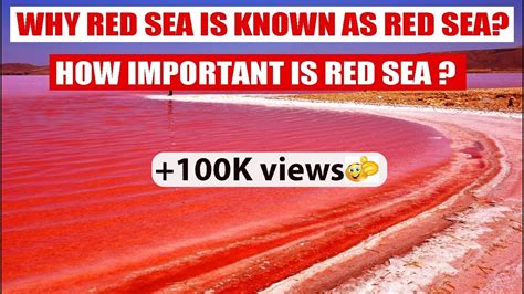Why Red Sea Is Known As Red Sea How Important Is Red Sea Youtube