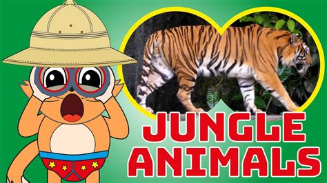 Jungle Animals Names And Sounds For Kids Jungle Facts Learn Jungle