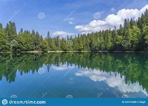 Mountain Lake Surrounded By Dense Coniferous And Beech Forest