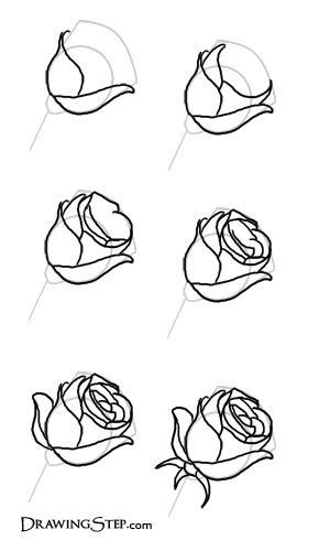 Finally, make necessary improvements to finish. How To Draw A Realistic Rose - DIY Discovers