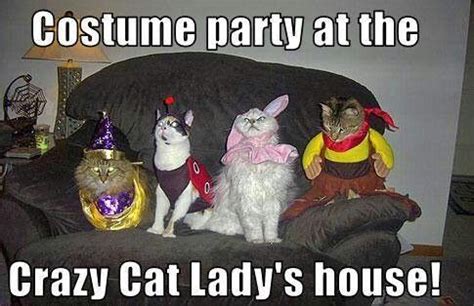 A Gallery Of Halloween Cats For Your Viewing Pleasure