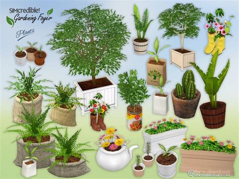 Gardening Foyer Plants By Simcredible Liquid Sims