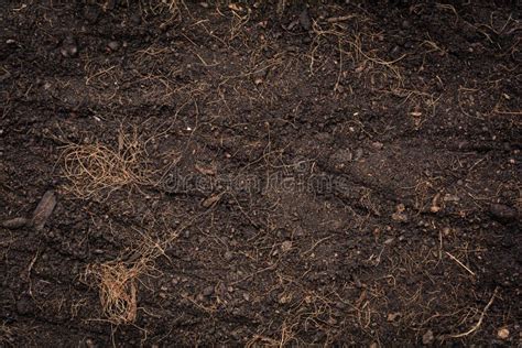 Black Soil Texture And Background Stock Photo Image Of Cultivated