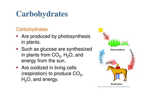 Ppt Carbohydrates Powerpoint Presentation Free Download Id6901691