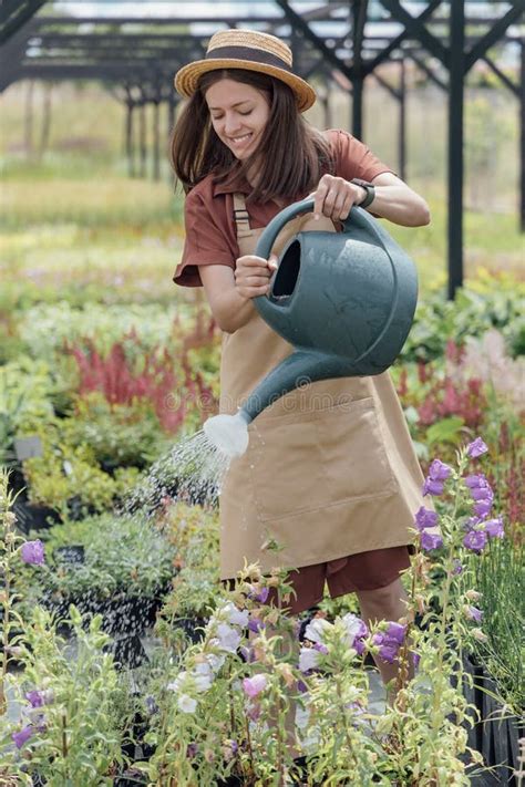 Woman Gardener Is Watering Plants From A Garden Watering Can Stock