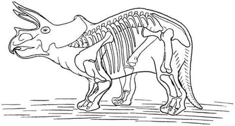 Once completed, these dinosaur colouring pages could also be something lovely for your children to take home with them or put up on a classroom display. Dinosaur Skeleton Coloring Page | Dinosaurs Pictures and Facts