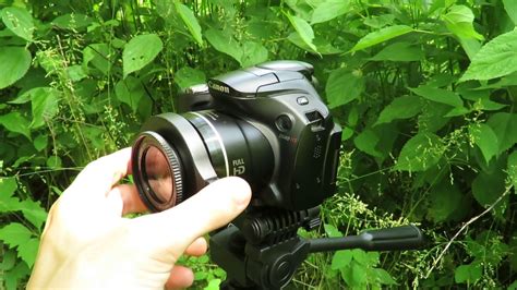 200 Budget Macro Photography Canon Powershot Sx40 Hs Raynox Dcr