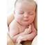 Newborn Baby  Stock Image F003/9197 Science Photo Library