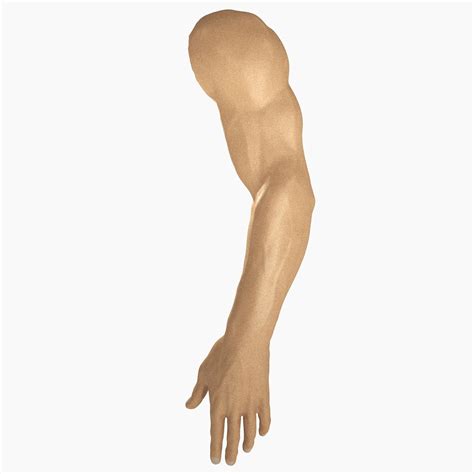 Human Male Arm Anatomy 3d Model 119 Unknown Max 3ds Blend C4d Dae Dxf Fbx Lwo Lxo