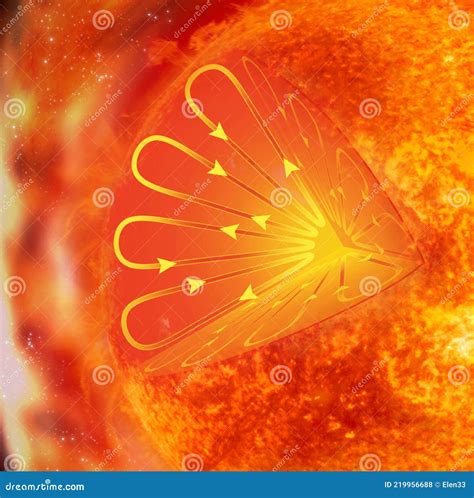 Sun Cross Section Stock Photo Image Of Cosmos Furnished 219956688