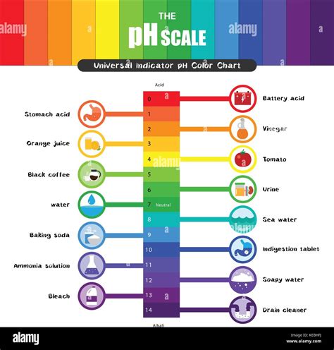 The Ph Scale Universal Indicator Ph Color Chart Diagram Acidic Alkaline