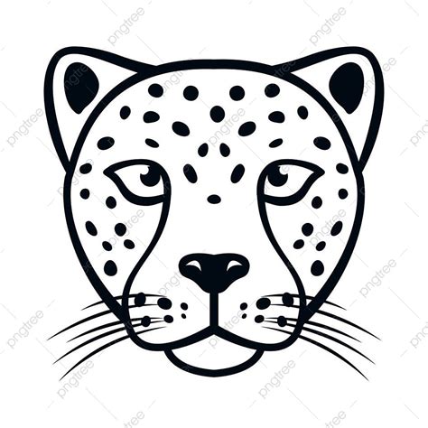 Cheetah Head Vector Art Png Vector Cheetah Head Isolated On White