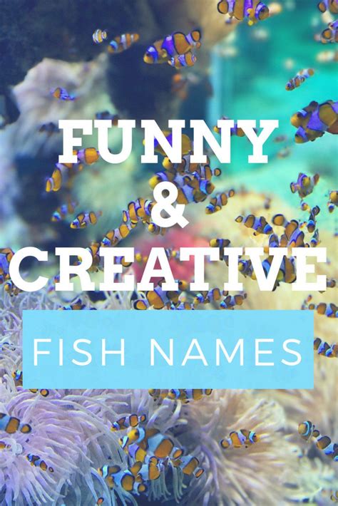 300 Funny And Clever Fish Names