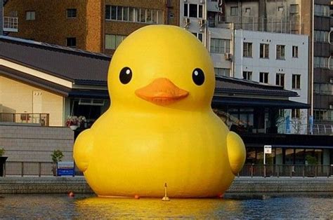 Giant Rubber Duckie By Florentijn Hofman Rubber Duck Rubber Ducky