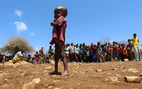 Somália Terá 14 Milhões De Crianças Desnutridas Este Ano Rede Angola Notícias Independentes