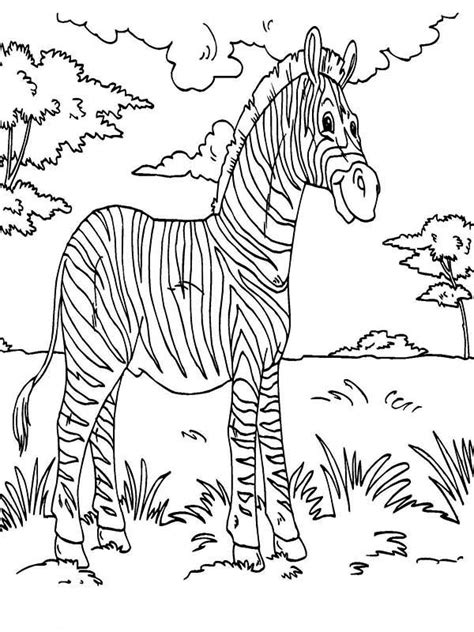 Enjoy these rainforest coloring pages. Zebra Rainforest Animals Coloring Page - Download & Print ...