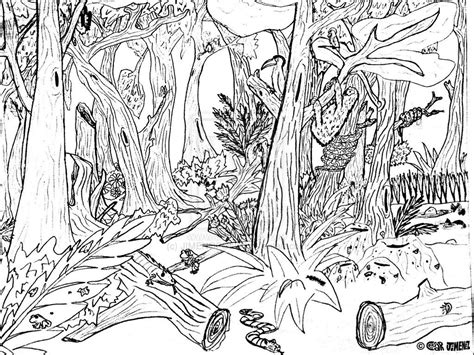 Pics Of Rainforest Coloring Page Sheets Coloring Coloring Home
