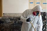 Home Mold Remediation Cost Pictures