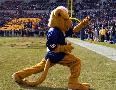 University Of Pittsburgh Panthers Mascot Roc The Panther College