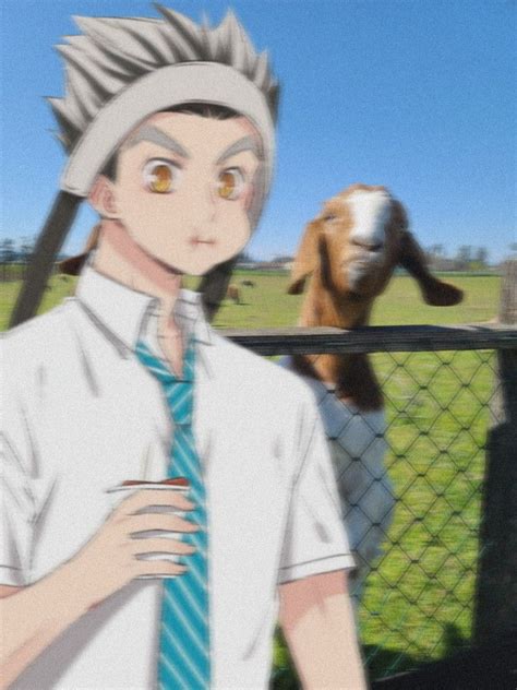 Petting Your Neighbors Goats With Bokuto In 2021 Cute Anime Character