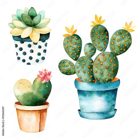 Watercolor Handpainted Cactus Plant And Succulent Plant In Pot