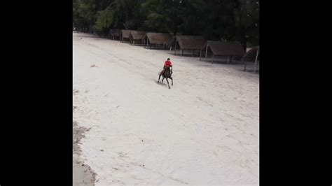 Kigamboni Horse Riding Club Ep07 Youtube