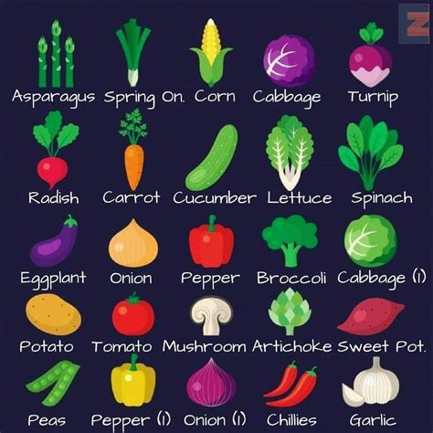 Vegetable Types With Pictures Vegetable Names In English Fruits And