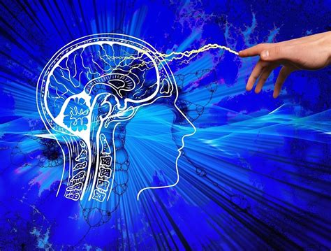 Neuroplasticity The Science Of Changing Your Brain