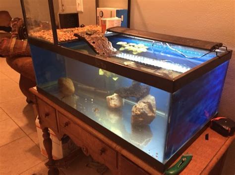 Pet Turtle Stuff Check Out This Turtle Topper Above Tank Basking