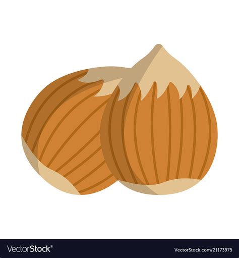 Hazelnut Icon Food With Healthy Fats And Oils Vector Image