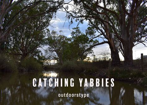 How to Catch and Cook Yabbies in South Australia - Outdoorstype