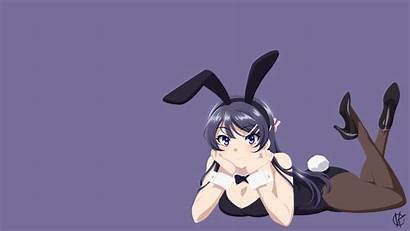 Mai Sakurajima Bunny Anime Suit Senpai Seishun