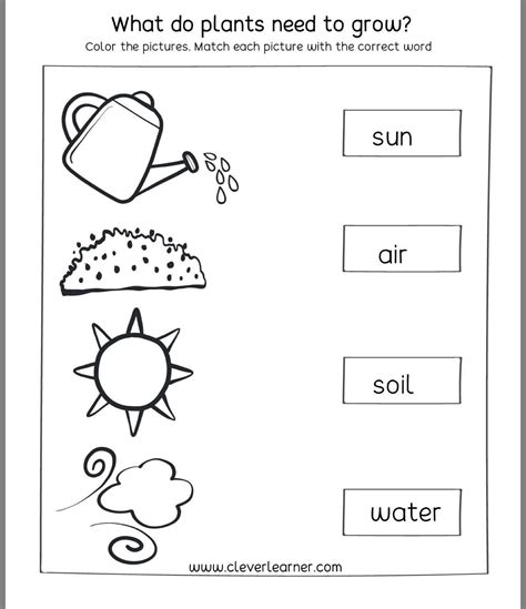 Free First Grade Science Printable Worksheets