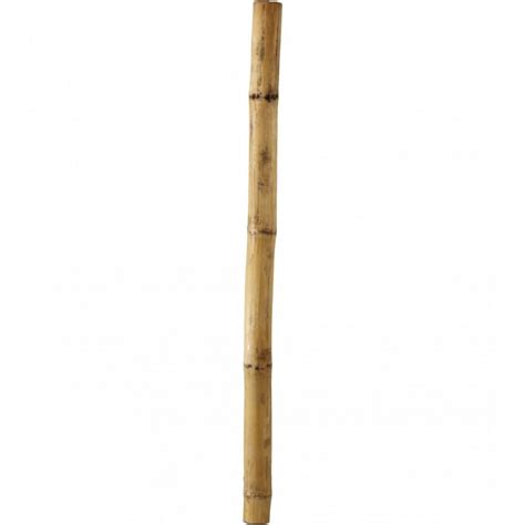 Bamboo Pole 24mtr Welcome To Hawley Garden Centre Online