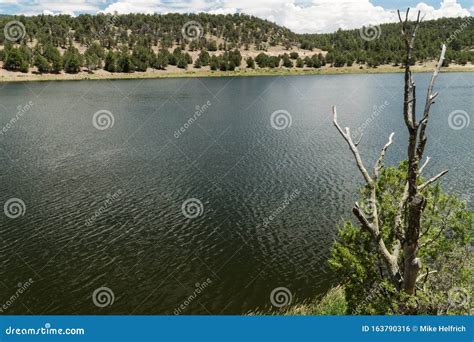 Horizontal Quemado Lake New Mexico Stock Photo Image Of Water