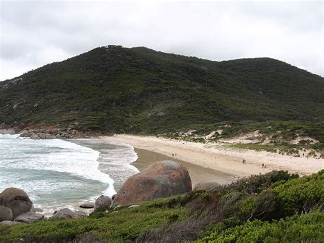 Saving The Coastal Banksia Trees Of Wilsons Prom Munsell Color