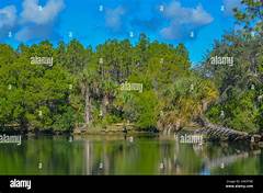 Citrus Countys Hidden Gem Uncovering The Secrets Of Crystal River