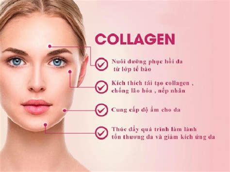 Cùng Xem Gợi ý viên uống collagen nào tốt tốt nhất bạn nên biết Nội Thất Xinh