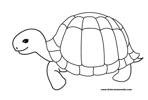 Il s'agit d'une espèce de tortue en fort déclin sur l'ensemble de son aire de répartition. Tortue à colorier