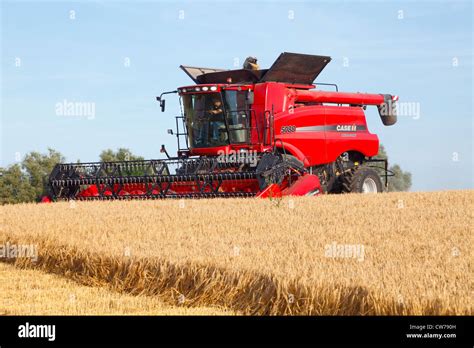 Red Case Ih Axial Flow 5088 Combine Harvester Harvesting Malting Stock